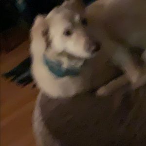 Meet your Posher, Chris